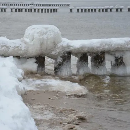 Egon Schulz 公寓 泽姆平